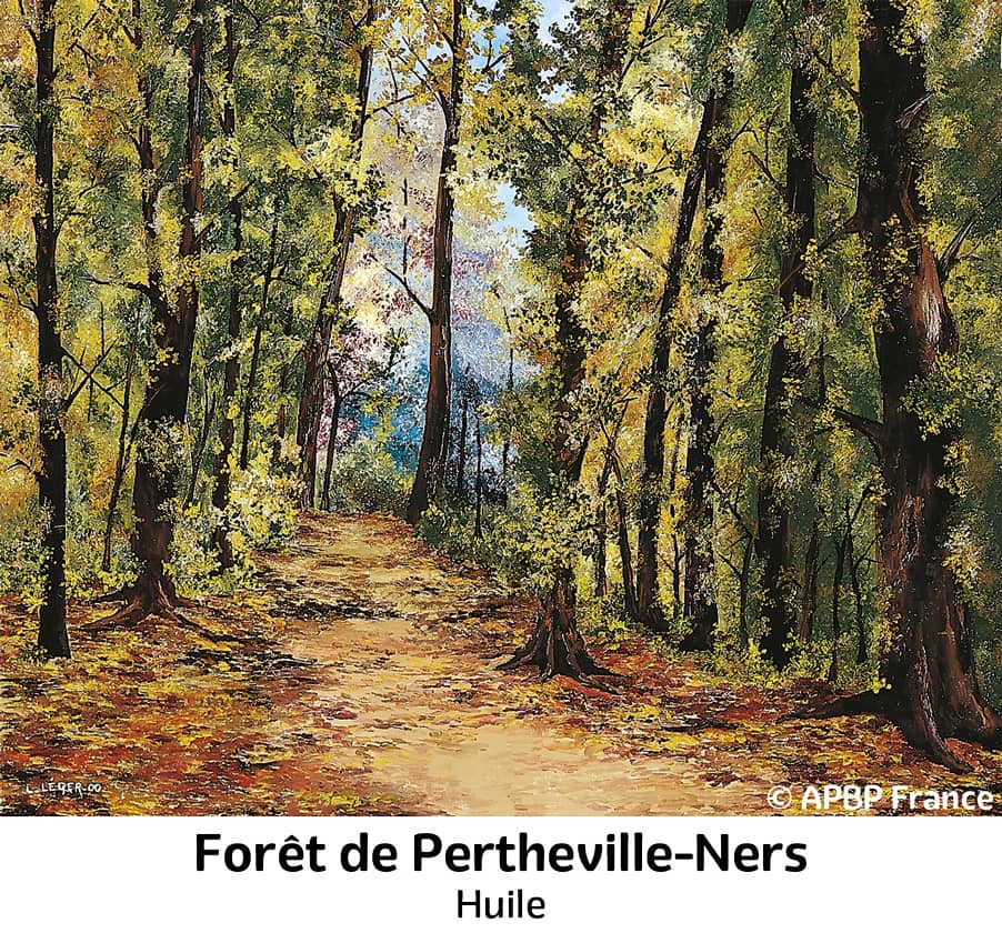 Foret de Pertheville Ners-Oeuvre Lénaic Léger