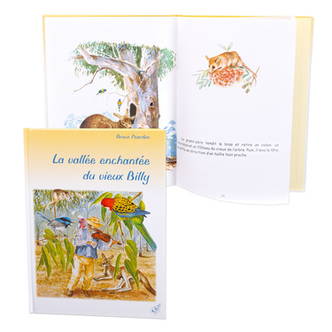 Livre enfant La vallée enchantée