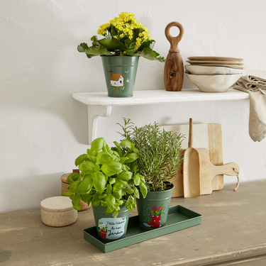 Lot de 3 pots et plateau en métal 